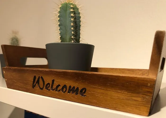 Center With Mountain View Apartament *